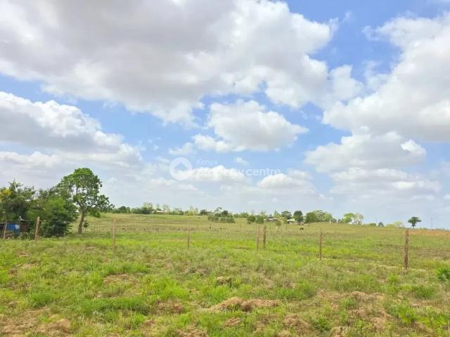 Land for sale in Kilifi