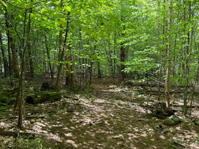 Land for sale in West Dover, Vermont