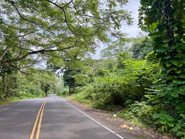 Land for sale in Hana, Hawaii