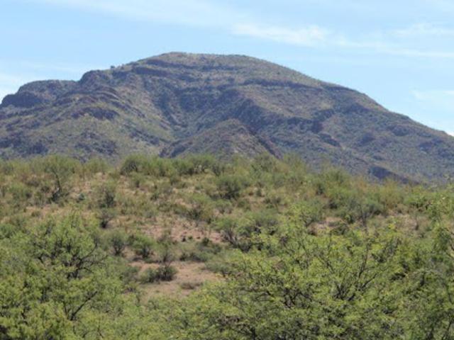 Land for sale in Arizona