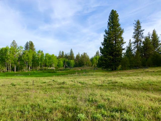 Land for sale in Medical Lake, Washington