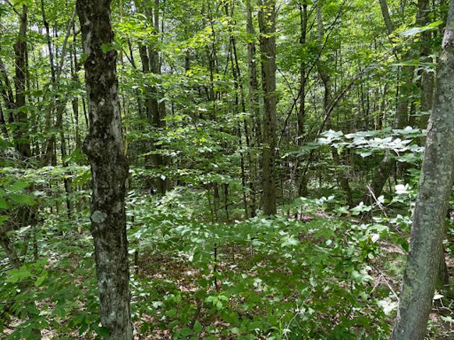 Land for sale in New Hampshire