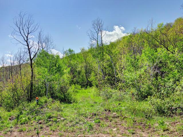 Land for sale in Kamas, Utah