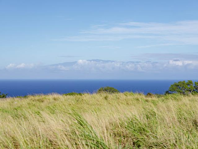 Land for sale in Hawi, Hawaii