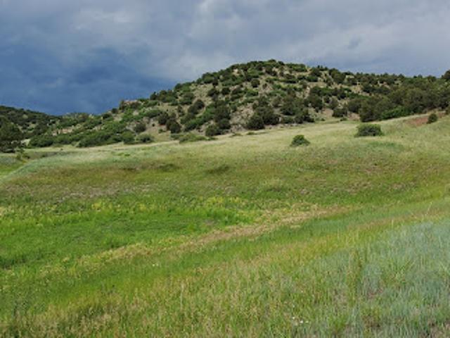 Land for sale in Canon City, Colorado