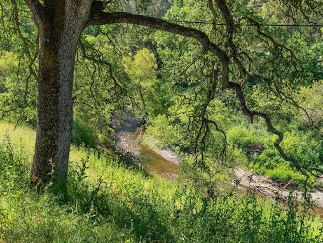 Land for sale in Sutter Creek, California