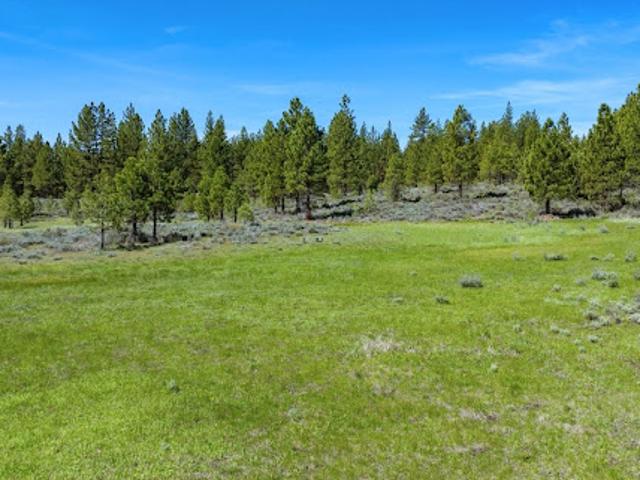 Land for sale in Portola, California