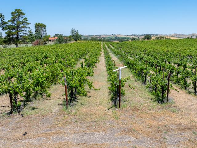 Land for sale in California