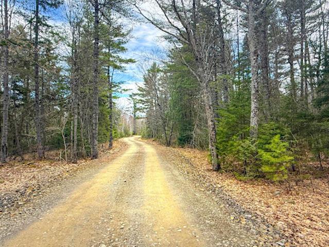 Land for sale in Waldo, Maine