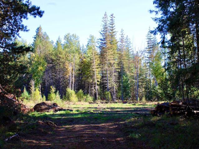 Land for sale in Sandpoint, Idaho