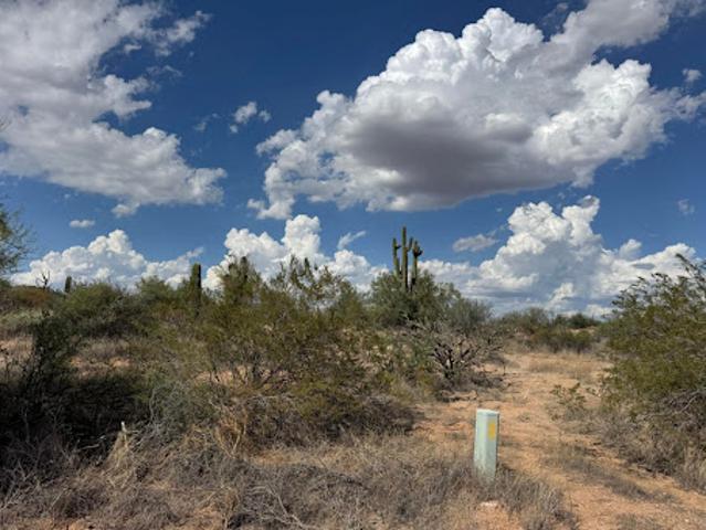 Land for sale in Rio Verde, Arizona