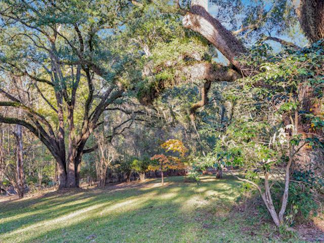 Land for sale in Natchez, Mississippi