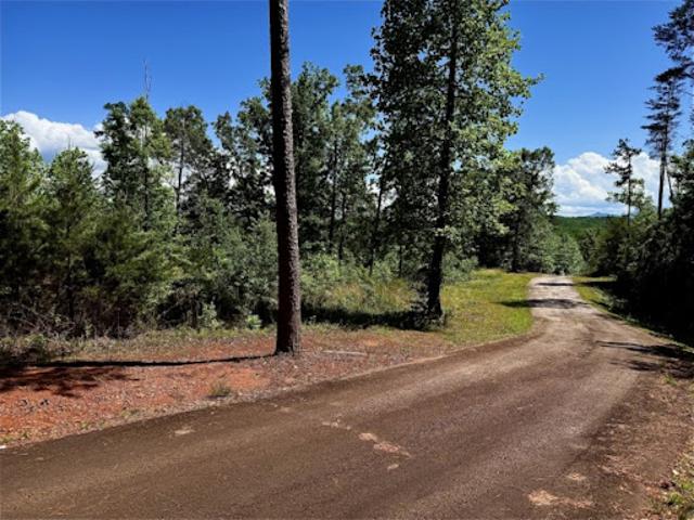 Land for sale in Rutherford, North Carolina