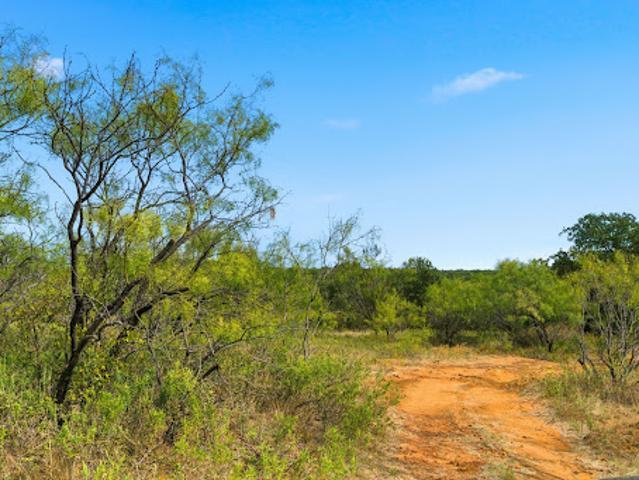 Land for sale in De Young, Texas