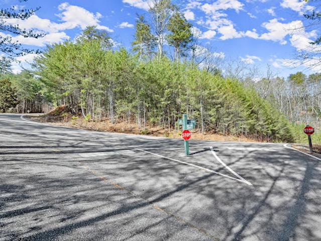 Land for sale in Pickens, Georgia