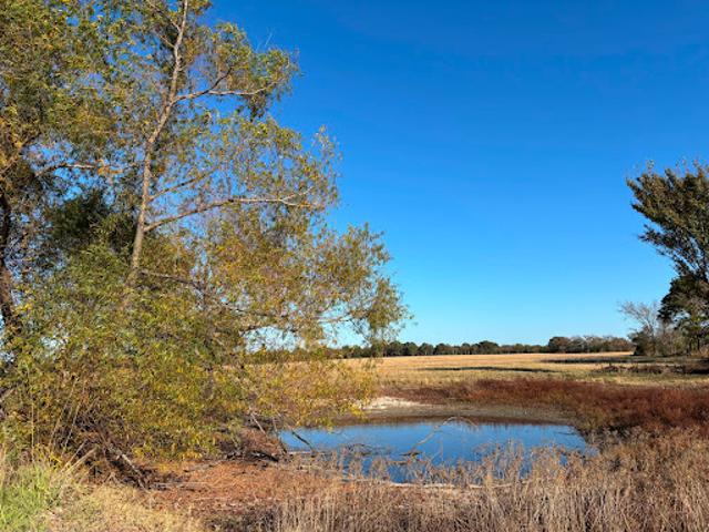 Land for sale in Texas