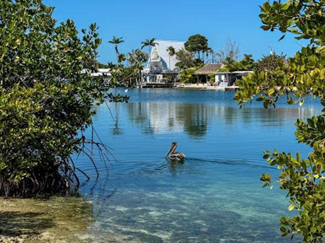 Land for sale in Florida