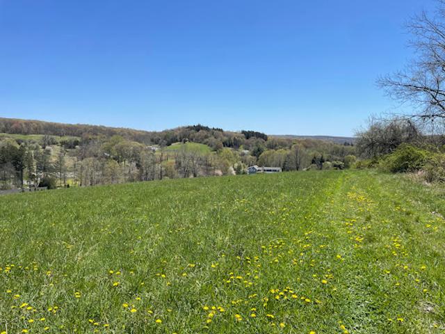 Land for sale in Roxbury, Connecticut