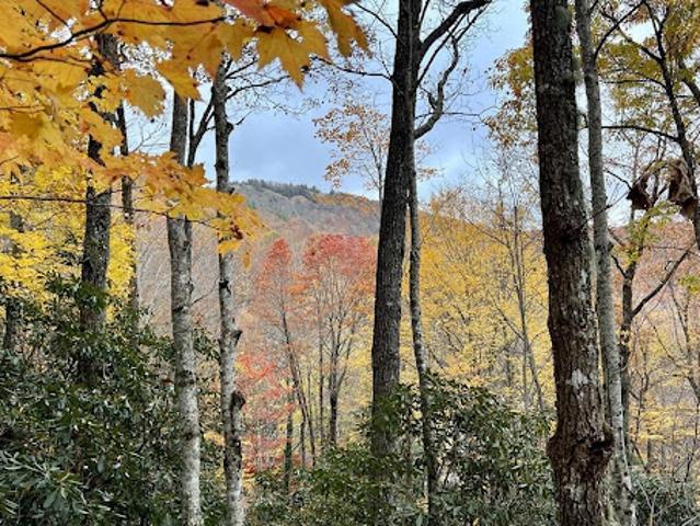 Land for sale in North Carolina