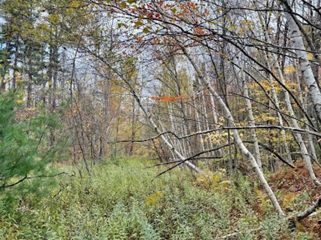 Land for sale in Becket Land for sale in Becket