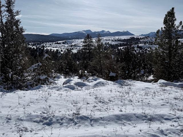Land for sale in Deer Lodge, Montana