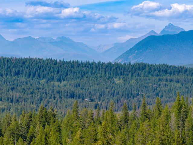 Land for sale in Montana