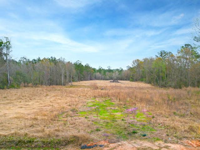 Land for sale in Louisiana