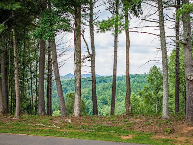 Land for sale in Lenoir, North Carolina