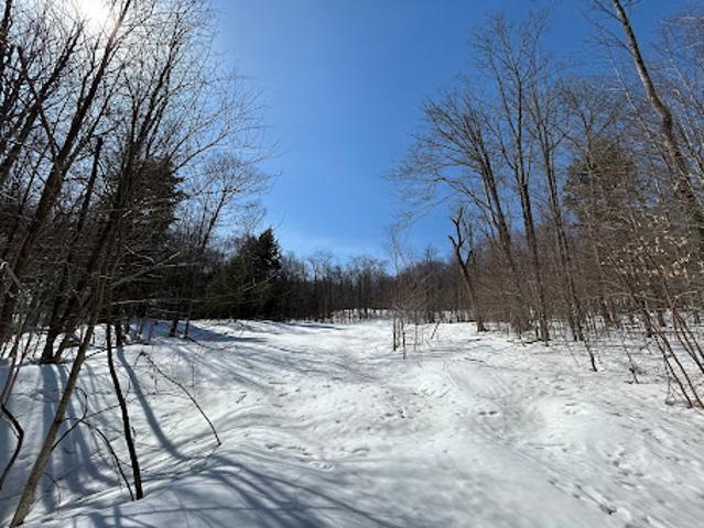 Land for sale in Stratton, Vermont