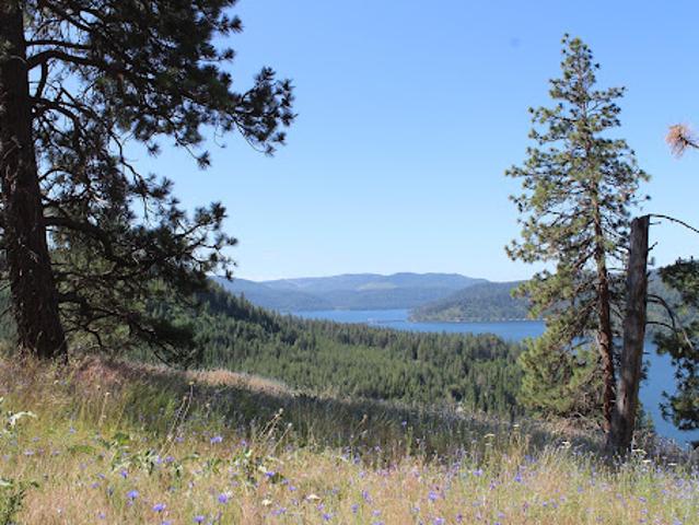 Land for sale in Harrison, Kootenai County