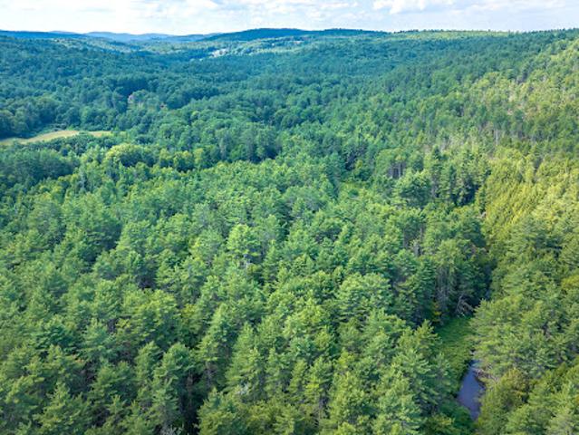 Land for sale in Putney, Vermont