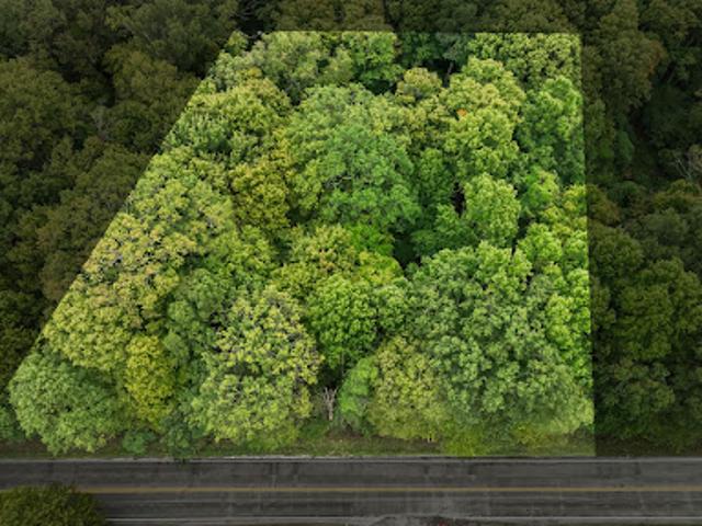 Land for sale in Somerset, Pennsylvania