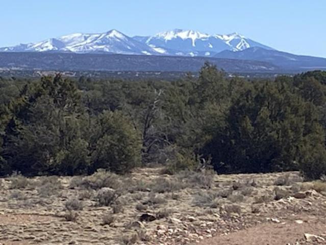 Land for sale in Williams, Arizona