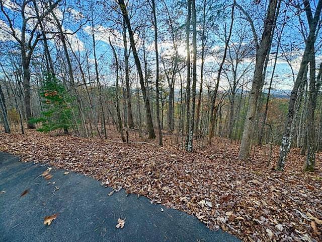 Land for sale in Hayesville, North Carolina