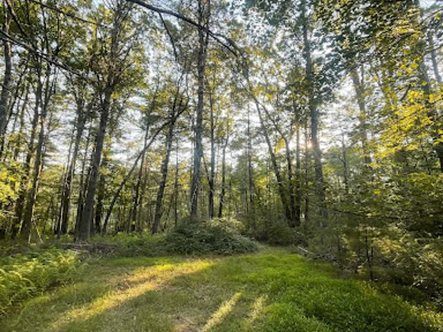 Land for sale in New York
