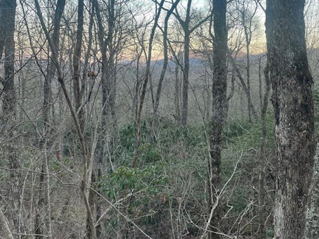 Land for sale in Cullowhee, North Carolina
