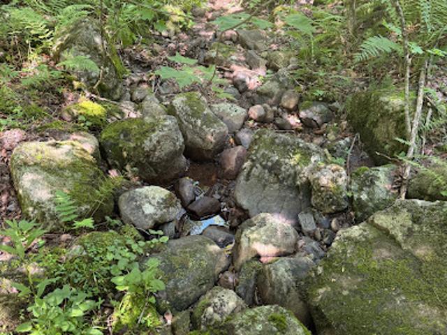 Land for sale in New York