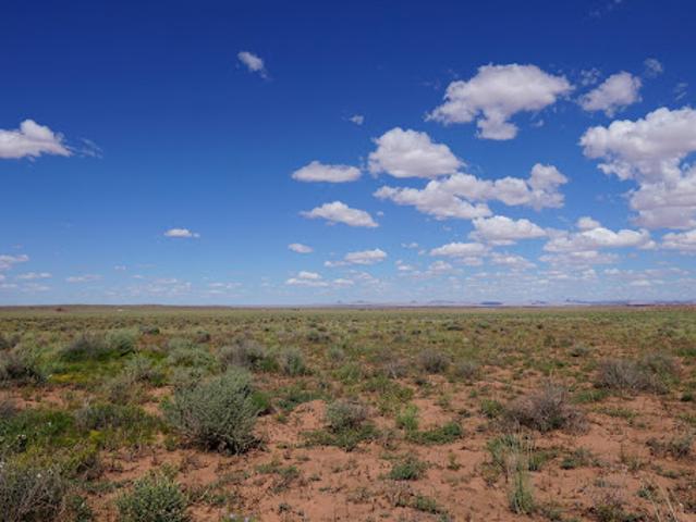 Land for sale in Navajo, Arizona