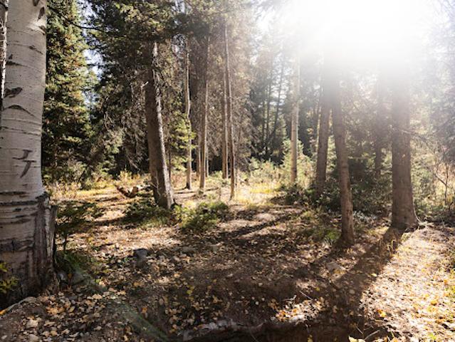 Land for sale in Salt Lake City