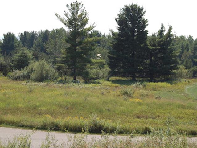 Land for sale in Harbor Springs, Michigan
