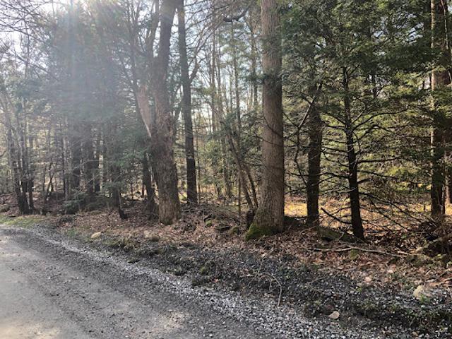 Land for sale in Berkshire, Massachusetts