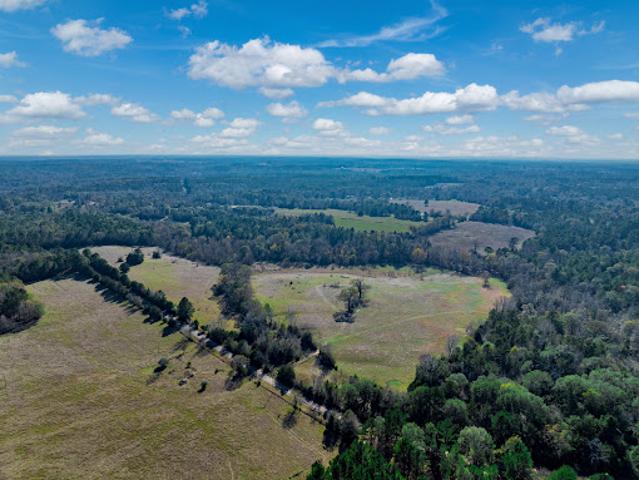 Land for sale in Palestine, Texas