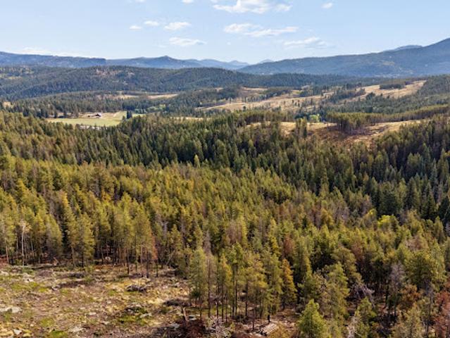 Land for sale in Conifer, Jefferson County