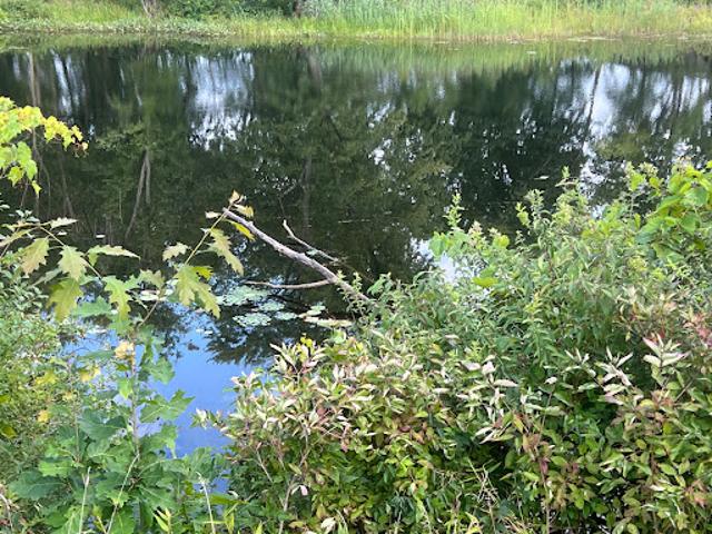 Land for sale in Saratoga, New York