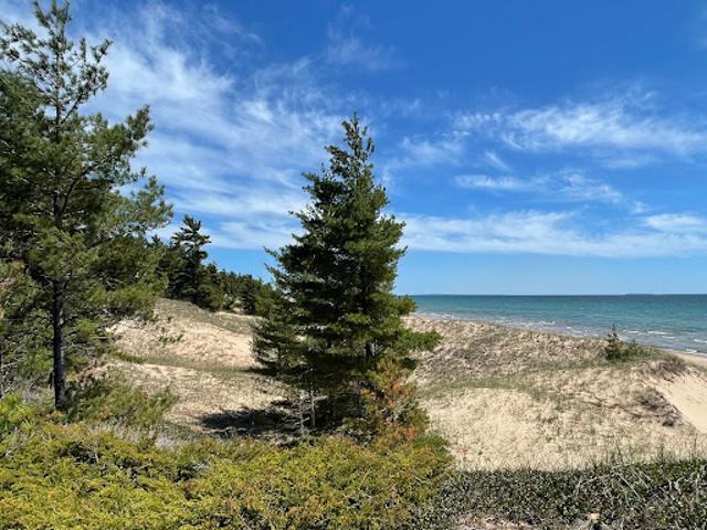 Land for sale in Gulliver, Michigan