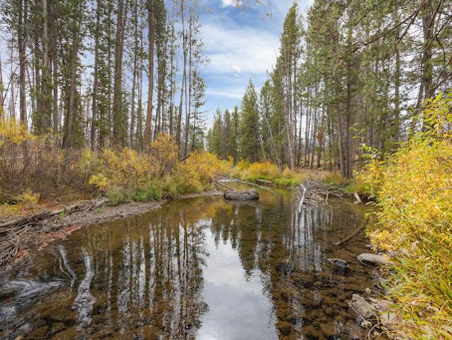 Land for sale in Idaho