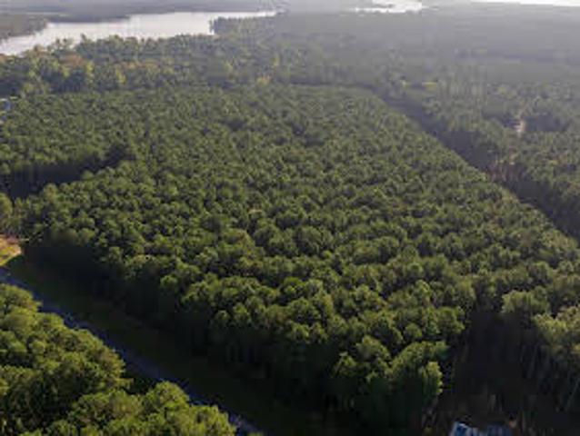 Land for sale in Edenton