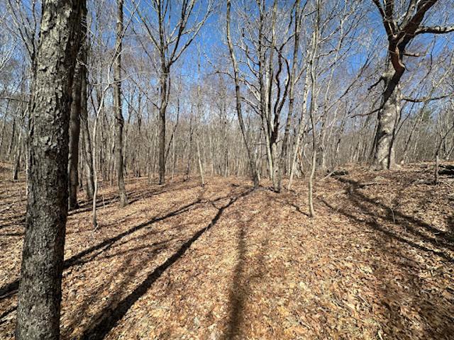 Land for sale in Woodbury, Connecticut