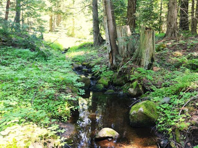 Land for sale in Sandpoint, Idaho