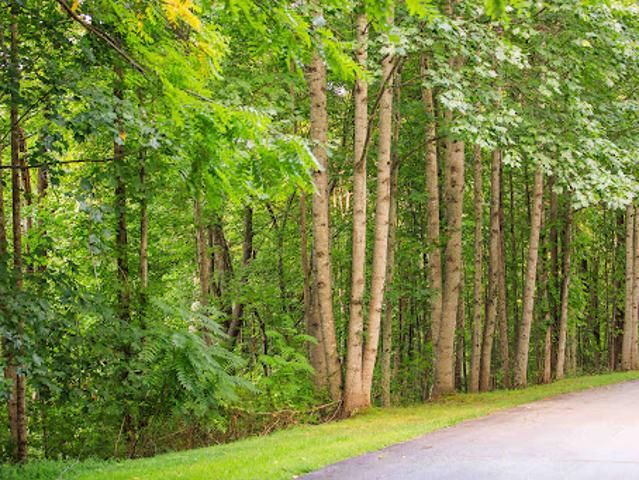 Land for sale in Etowah, North Carolina
